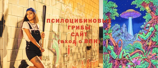 тгк Алексин