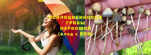 кокаин перу Алзамай