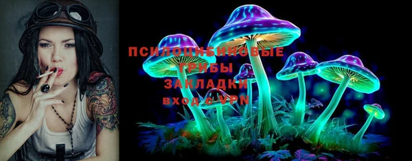 тгк Алексин