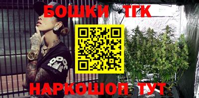 apvp Камышлов