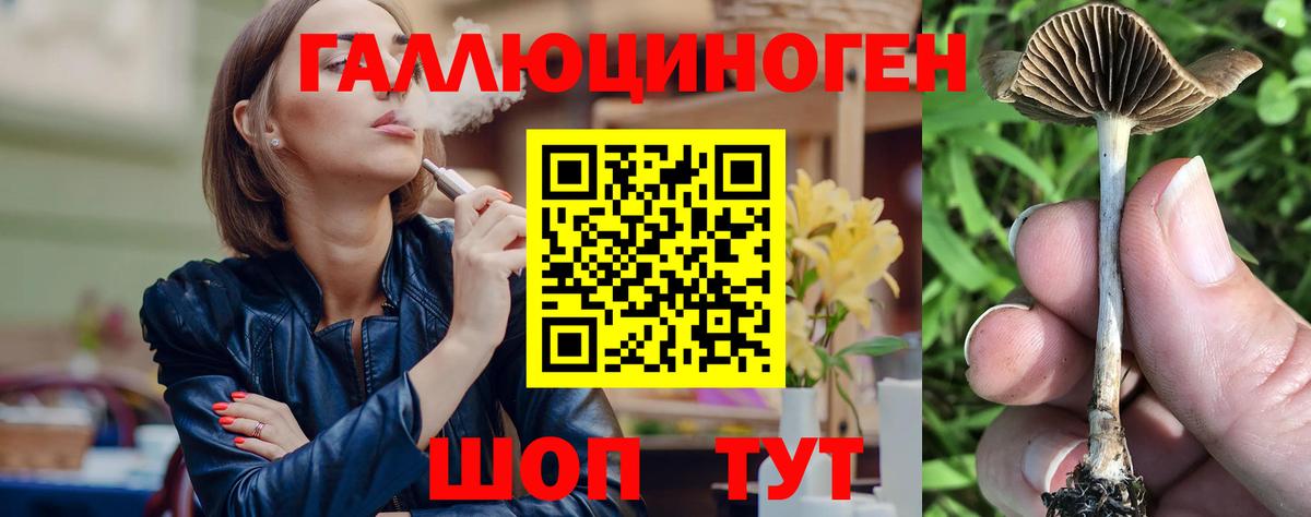 Ленинск-Кузнецкий  цены наркотик  Вход с VPN  Галлюциногенные грибы ЛСД 